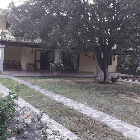 Villa Agriturismo La Tuva Padru Exterior foto