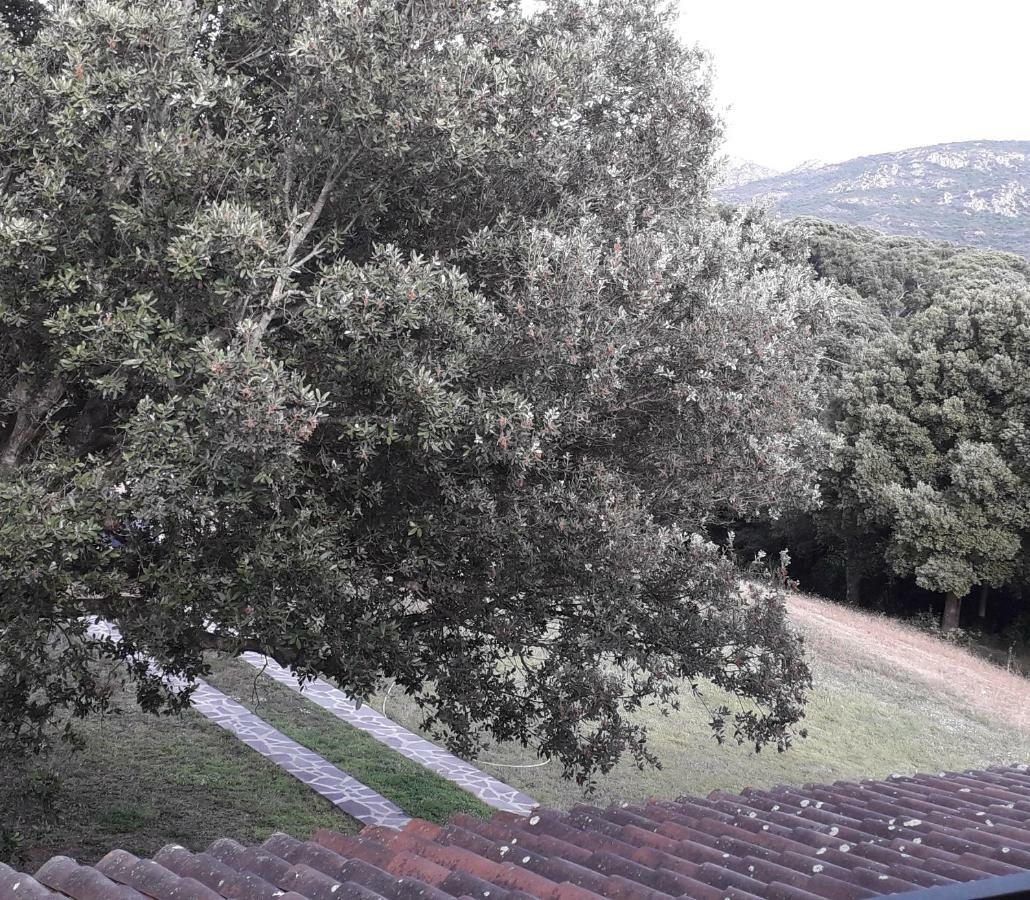 Villa Agriturismo La Tuva Padru Exterior foto